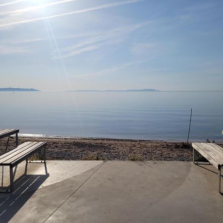 T2 Bord De Mer - Les Embruns Apartment Hyères Екстериор снимка